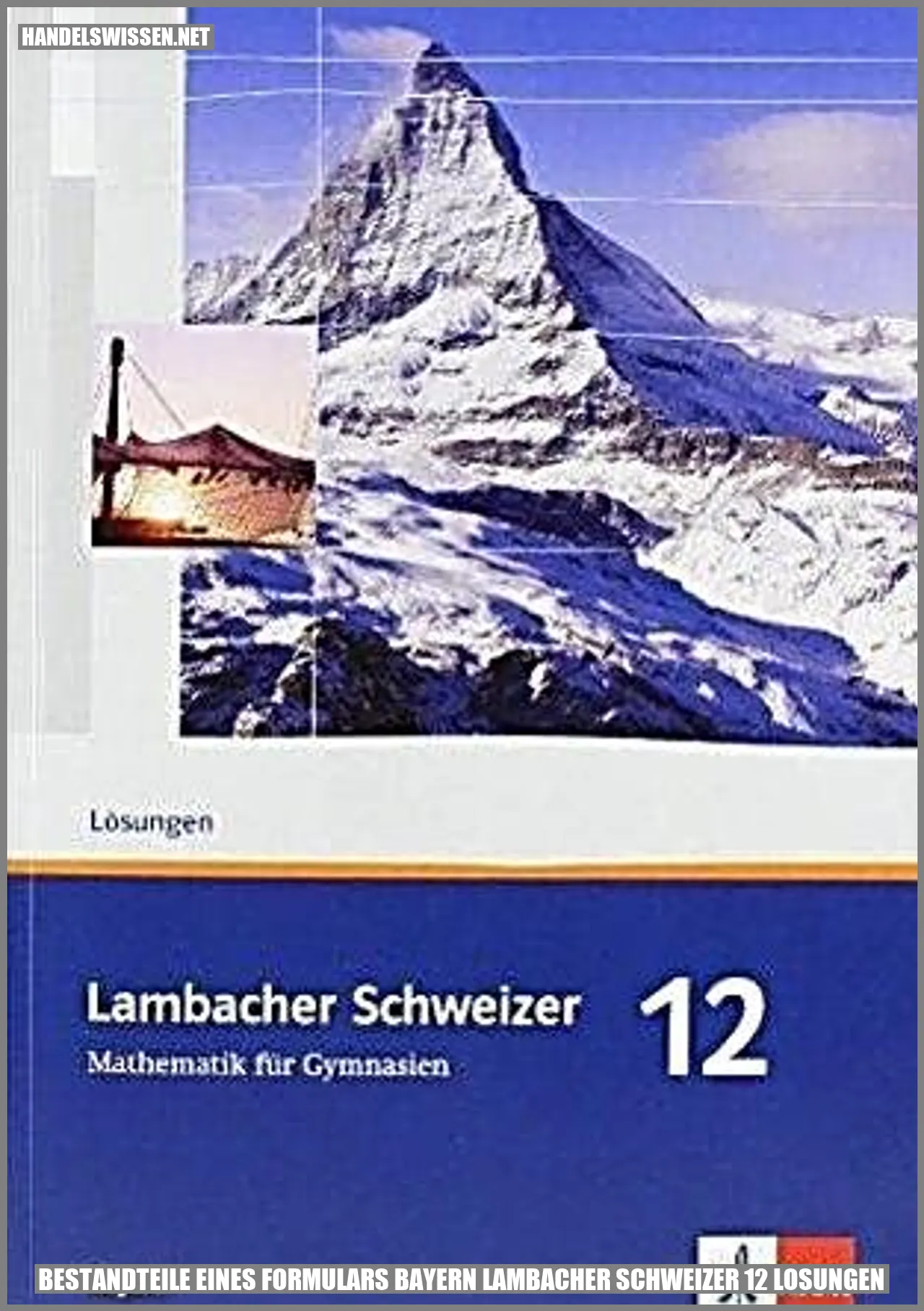 Bestandteile eines Formulars Bayern Lambacher Schweizer 12 Lösungen