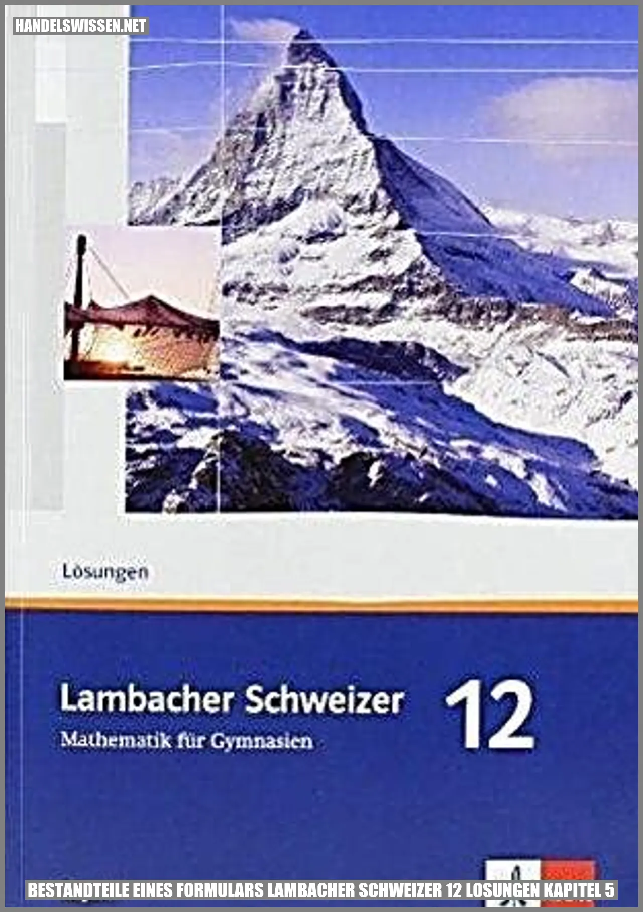 Bestandteile eines Formulars in Lambacher Schweizer 12 Lösungen Kapitel 5