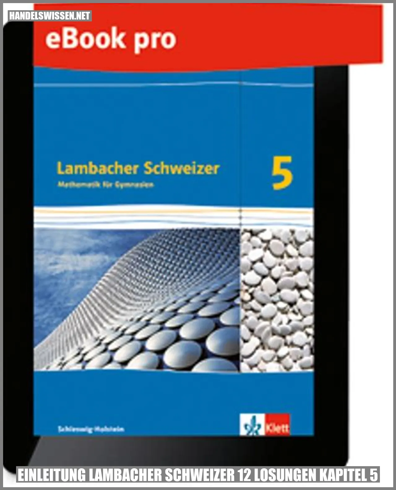 Einleitung Lambacher Schweizer 12 Lösungen Kapitel 5
