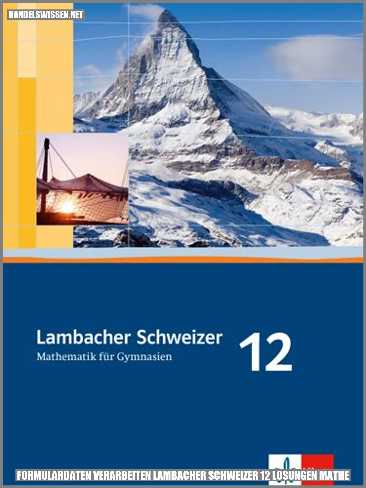 Formulardaten verarbeiten mit Lösungen zum Lambacher Schweizer 12 Mathe
