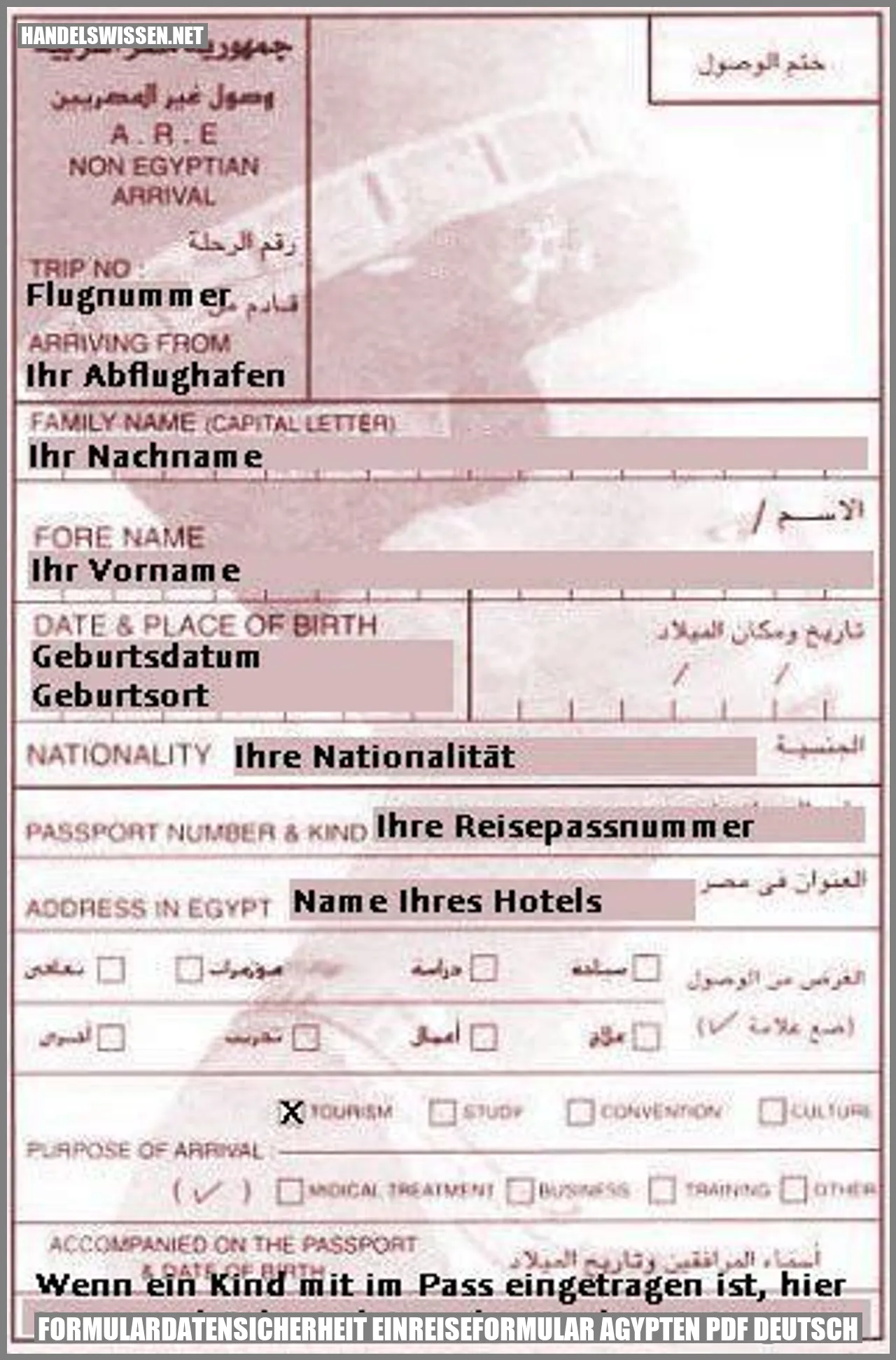 Bild: Formularsicherheit für das Einreiseformular Ägypten PDF auf Deutsch